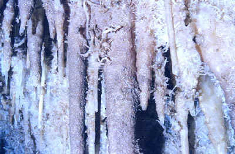 EC-100WF-KT-Helectites2