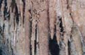 EC-100WF-KT-Helectites1
