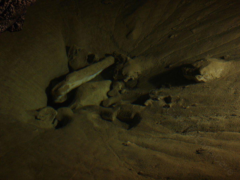 EC-100WF-MR-Inside Funnelpool1