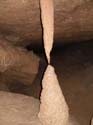 EC-AE-DR-Near Column1