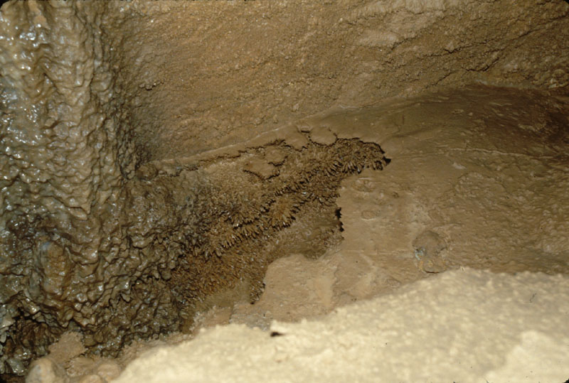 EC-AE-FFR-Crystals1