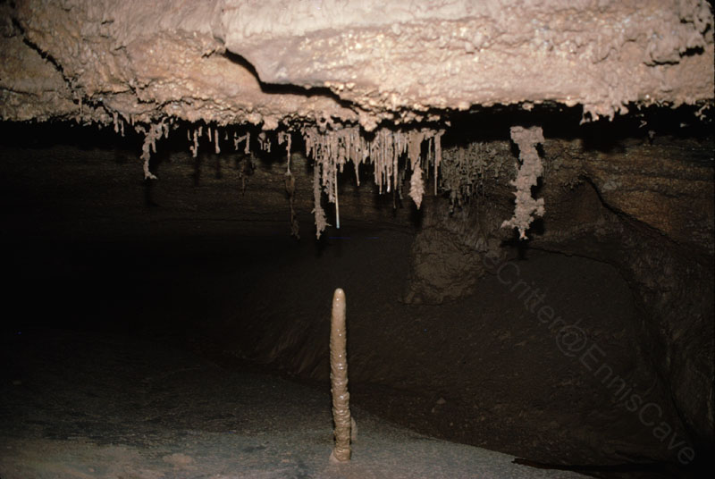 EC-AE-MF-Inverted Helctite Tree and Stalagmite2