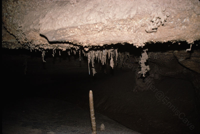 EC-AE-MF-Inverted Helectite Tree and Stalagmite1