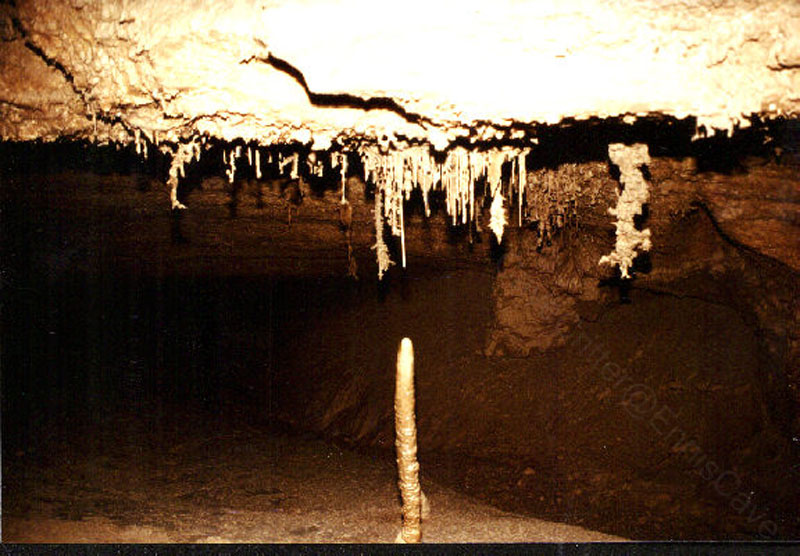 EC-AE-MF-Inverted Helectite Tree and Stalagmite4