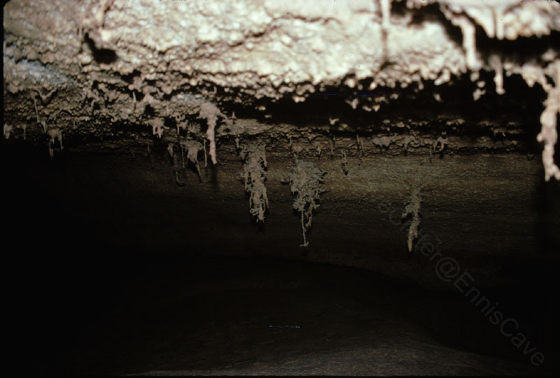 EC-AE-MF-Inverted Helectite Tree3