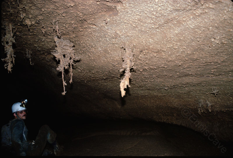 EC-AE-MF-Inverted Helectite Tree4