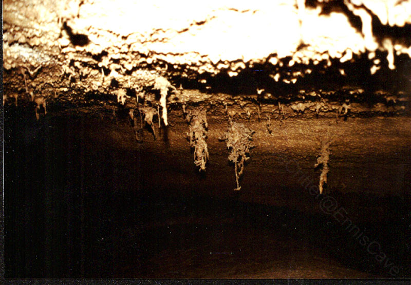 EC-AE-MF-Inverted Helectite Tree5