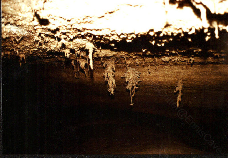 EC-AE-MF-Inverted Helectite Tree6