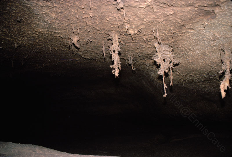 EC-AE-MF-Inverted Helectite Trees3