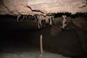 EC-AE-MF-Inverted Helctite Tree and Stalagmite2