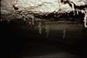 EC-AE-MF-Inverted Helectite Tree3