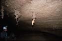 EC-AE-MF-Inverted Helectite Tree4