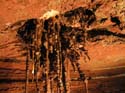 EC-BDR-BD-Alien26