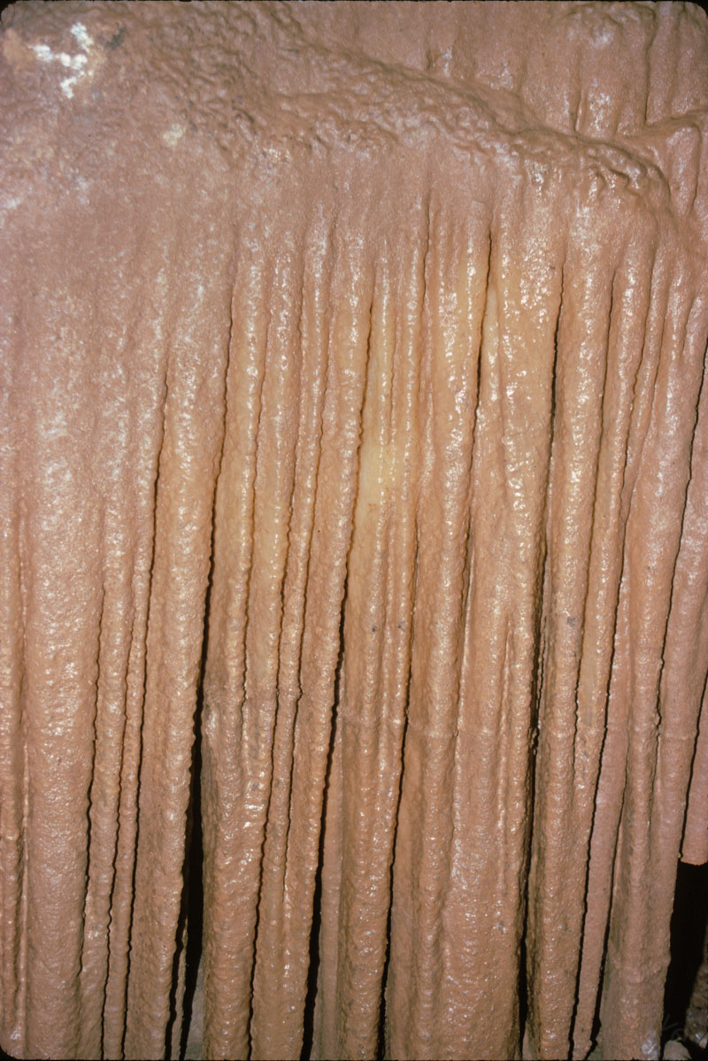 EC-CSP-FFD-Draperies9