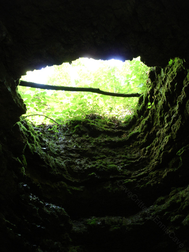 EC-ENTRANCE-Shaft2