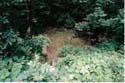 EC-ENTRANCE-1999
