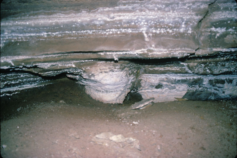 EC-LLP-EP-Gypsum Crust4