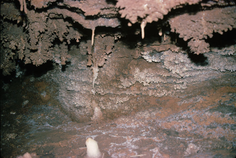EC-LLP-EP-Gypsum Popcorn1