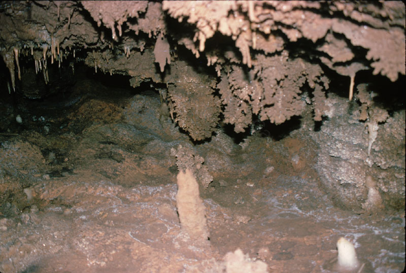 EC-LLP-EP-Gypsum popcorn2