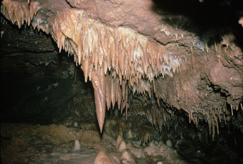 EC-LLP-EP-Stalactites3