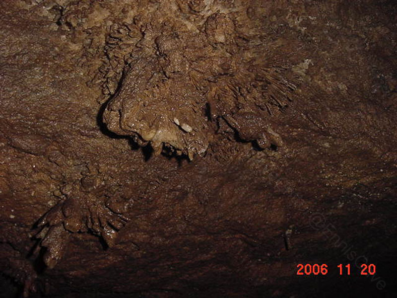 EC-MP-AH-Anthrodite Needles1
