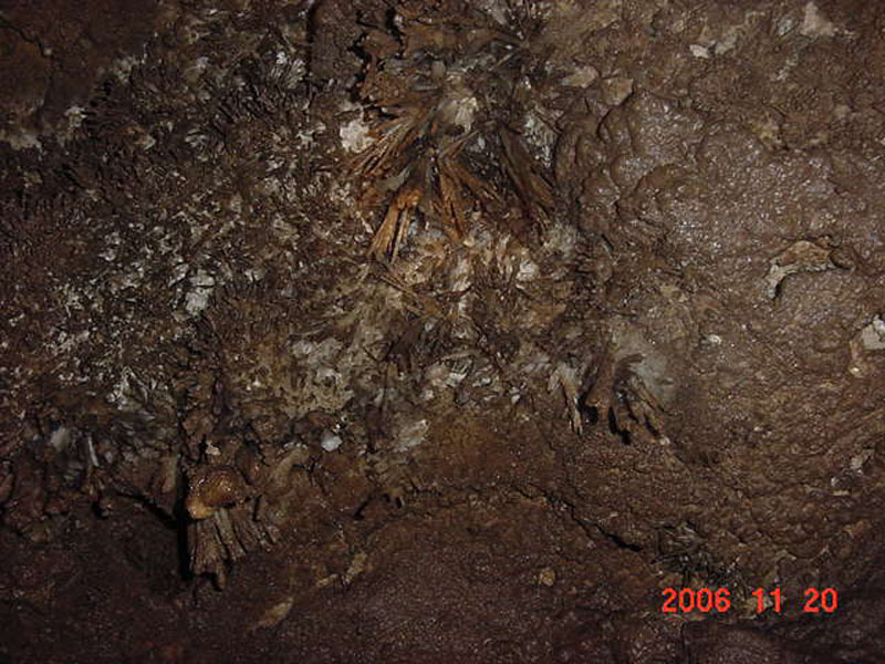 EC-MP-AH-Anthrodite Needles10