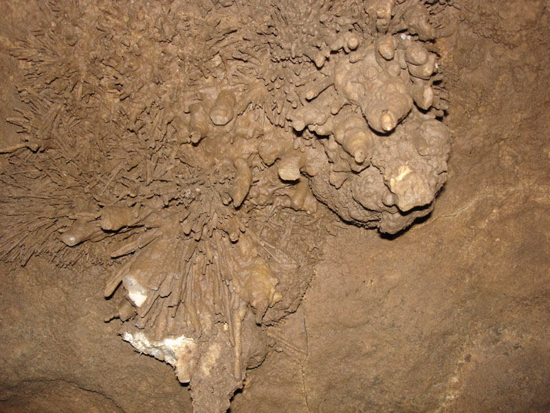 EC-MP-AH-Anthrodite Needles14