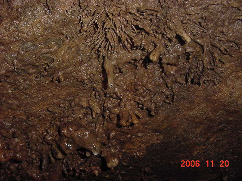 EC-MP-AH-Anthrodite Needles2