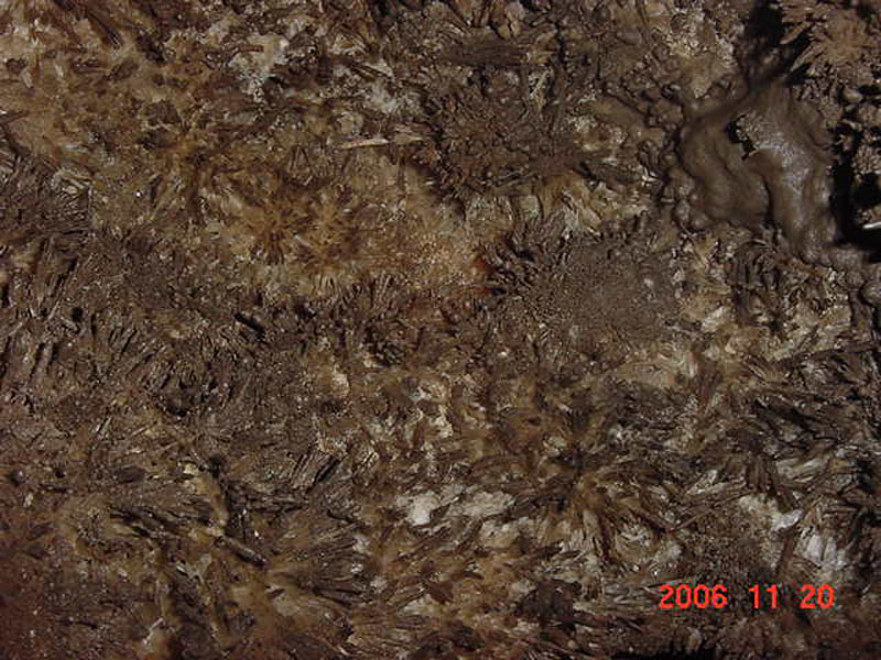 EC-MP-AH-Anthrodite Needles5
