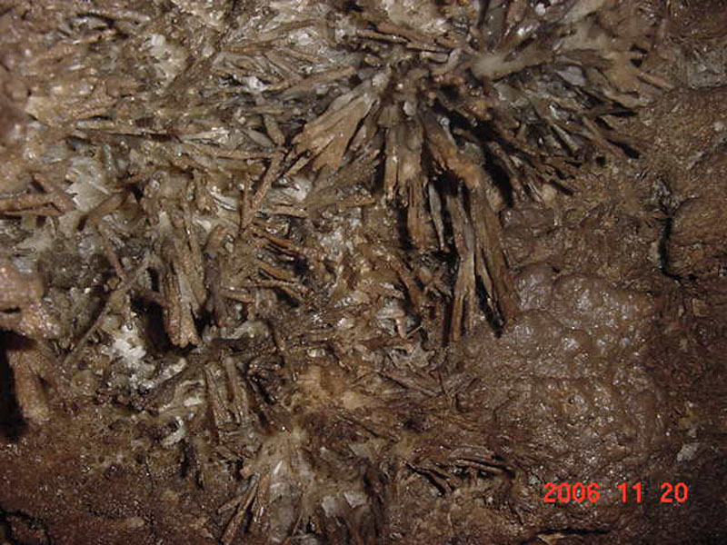EC-MP-AH-Anthrodite Needles8
