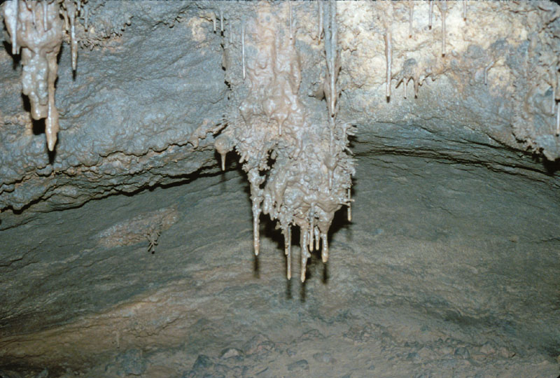 EC-OP-MFR-Mud Covered Stalactite2