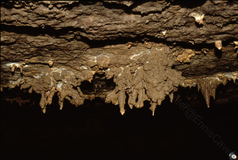 EC-OP-MFR-Mud Covered Stalactite4