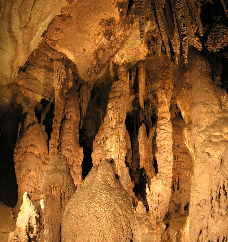 EC-DS-CA-10