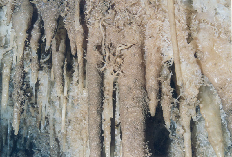 EC-DS-CA-5