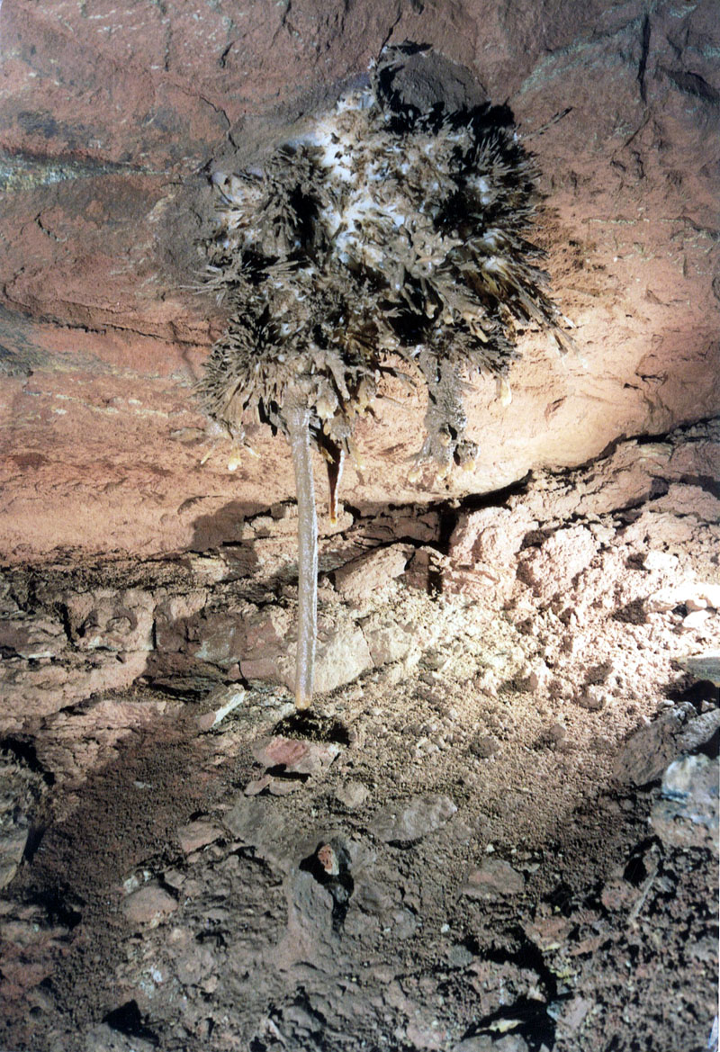 EC-DS-P1-27