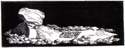 toadstool04art