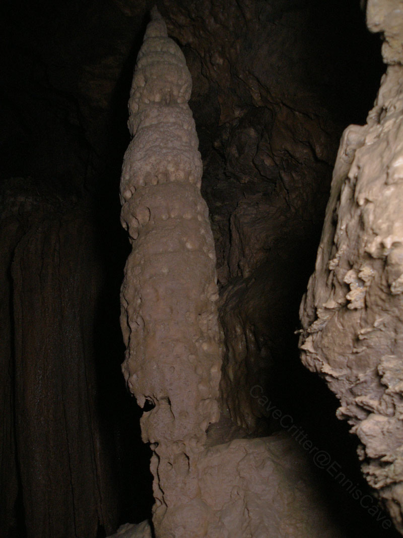 EC-DS-60WF-Column1