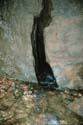 EC-DS-BR-Stream with Fish