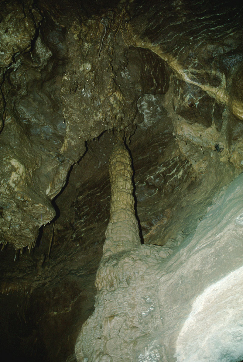 EC-DS-ECH-Column1