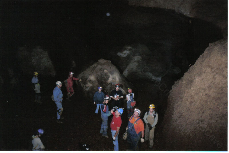 EC-DS-ECH-Group Shot1