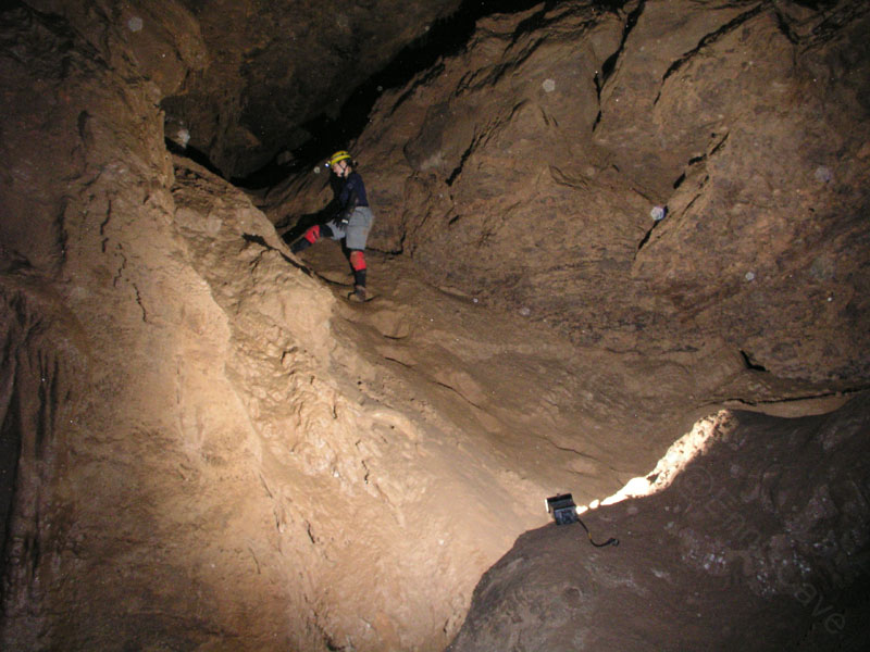 EC-DS-ECH-Ladder Trip12