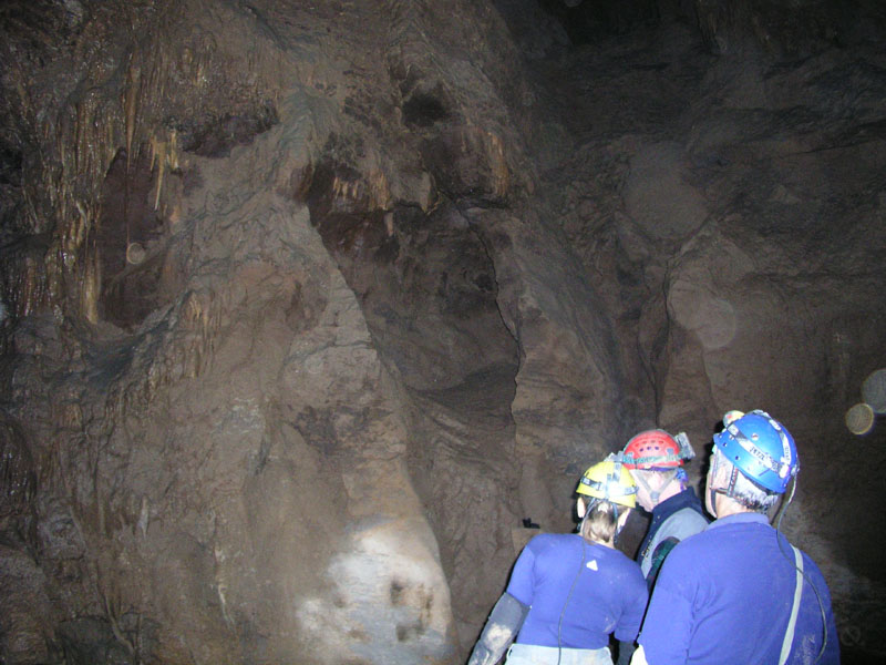 EC-DS-ECH-Ladder Trip13