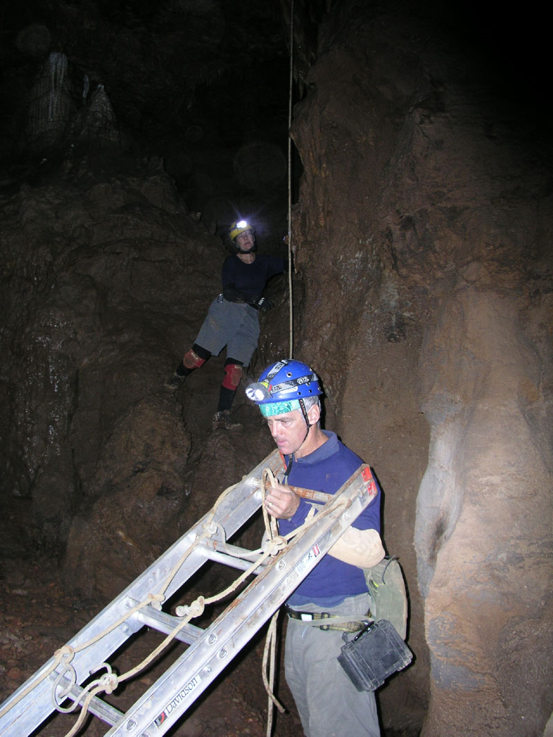 EC-DS-ECH-Ladder Trip14