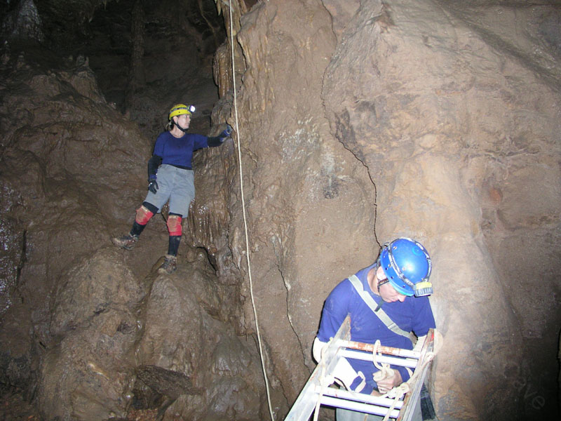 EC-DS-ECH-Ladder Trip18