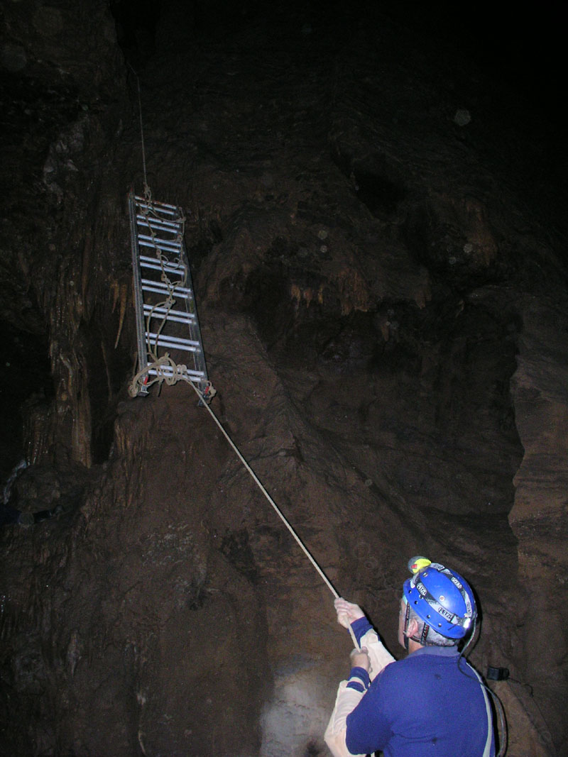 EC-DS-ECH-Ladder Trip19