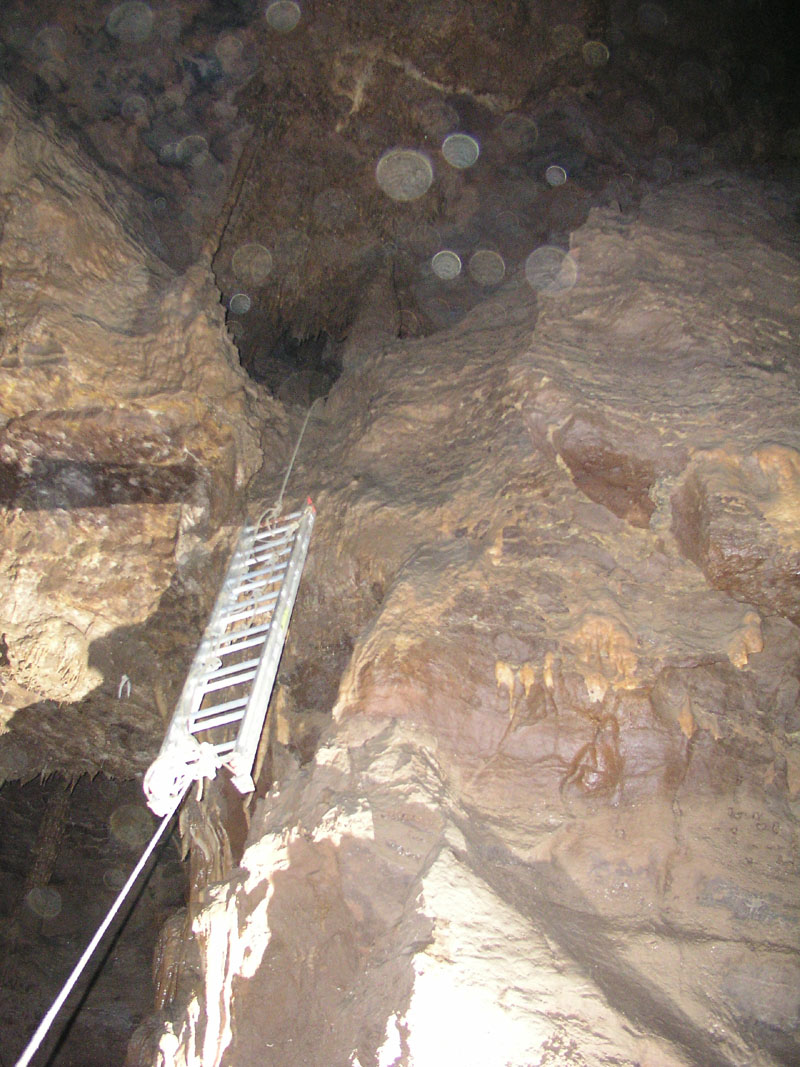 EC-DS-ECH-Ladder Trip20