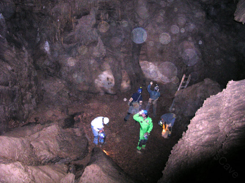EC-DS-ECH-Ladder Trip5
