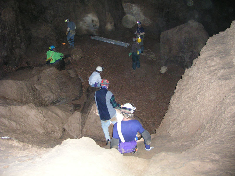 EC-DS-ECH-Ladder Trip7