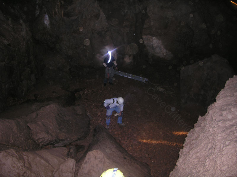 EC-DS-ECH-Ladder Trip9
