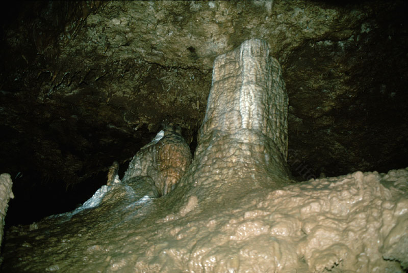 EC-DS-WCH-Column1